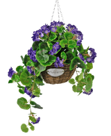 La Begonia artificiale viola in cesto UV 70 cm è un cesto di vimini sospeso con foglie verdi e fiori viola vivaci, sospeso a una catena argentata e dotato di una piccola etichetta in metallo con la scritta "Fiori.