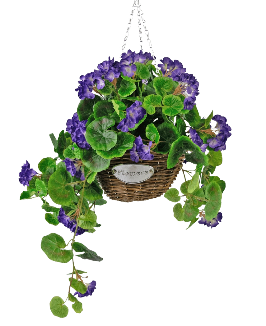 La Begonia artificiale viola in cesto UV 70 cm è un cesto di vimini sospeso con foglie verdi e fiori viola vivaci, sospeso a una catena argentata e dotato di una piccola etichetta in metallo con la scritta "Fiori.