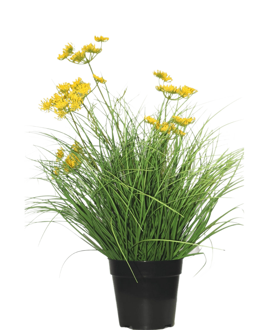 La pianta di erba artificiale Asteraceae ignifuga da 50 cm ha foglie verdi lunghe e sottili e piccoli fiori gialli in un vaso nero, che fornisce un aspetto verde: l'erba artificiale perfetta in casa su un semplice sfondo bianco.