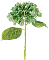 L'ortensia artificiale Deluxe da 33 cm verde scuro ha un'unica ortensia verde a stelo lungo con due grandi foglie e un mazzo di petali rotondo e completo, su uno sfondo bianco semplice.