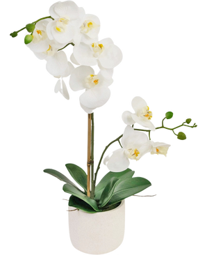 L'orchidea artificiale Real Touch bianca da 60 cm ha delicati fiori bianchi, boccioli verdi e ampie foglie verdi, sostenute da un sottile paletto in un piccolo vaso bianco.