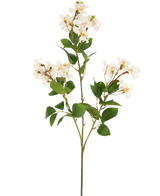 Il fiore artificiale Lagerstroemia bianco da 92 cm ha uno stelo alto con grappoli di piccoli fiori bianchi e foglie verdi, perfetto per aggiungere bellezza duratura a qualsiasi spazio. Ideale come pianta artificiale sorprendente su un semplice sfondo bianco.