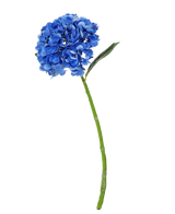 Il Fiore Artificiale Charlotte Hydrangea Real Touch blu scuro è una singola ortensia artificiale di colore blu con stelo e foglie verdi, alta 55 cm, isolata su sfondo bianco.