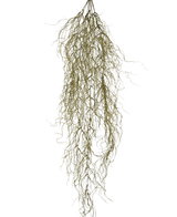 La pianta pensile artificiale Sudo 110 cm ha rami secchi sottili, lunghi e arricciati che pendono su uno sfondo bianco a tinta unita. Aggiunge atmosfera e intimità al tuo spazio come una pianta sospesa artificiale unica.