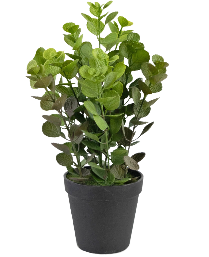 La pianta artificiale Vicks 33 cm è una pianta artificiale dal fogliame verde con foglie rotonde in un semplice vaso nero, su uno sfondo bianco a tinta unita.