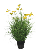 La pianta erba artificiale Asteraceae ignifuga da 90 cm ha foglie lunghe e sottili simili a erba e mazzi di piccoli fiori gialli brillanti su lunghi steli, su uno sfondo bianco semplice.