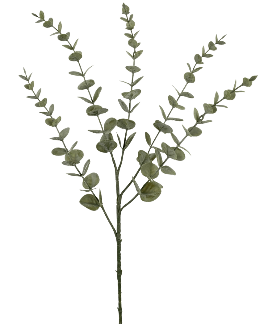 Il fiore artificiale Eucalipto Yugali 71 cm è un unico stelo artificiale con cinque rami ramificati e piccole foglie verdi rotonde, raffigurate isolate su uno sfondo bianco.