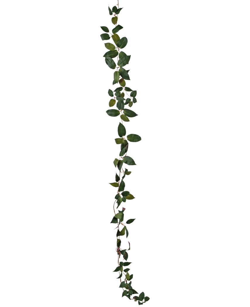 La ghirlanda verde Art Tradescantia da 180 cm è una vite a foglia verde singola raffigurata verticalmente su uno sfondo bianco semplice.