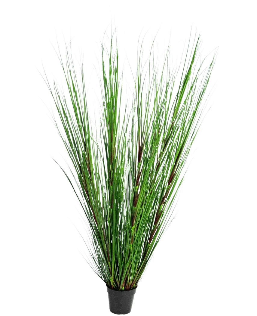 La pianta di erba artificiale cipolla ignifuga da 150 cm ha foglie verdi lunghe, sottili e erette simili a erba e steli lunghi, su uno sfondo bianco semplice.