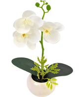 L'orchidea artificiale bianca in vaso da 28 cm ha tre grandi fiori bianchi e due foglie verdi in un piccolo vaso bianco, su uno sfondo semplice.