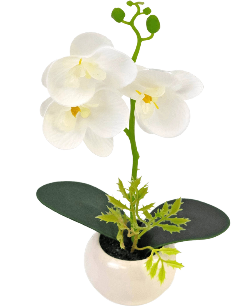 L'orchidea artificiale bianca in vaso da 28 cm ha tre grandi fiori bianchi e due foglie verdi in un piccolo vaso bianco, su uno sfondo semplice.