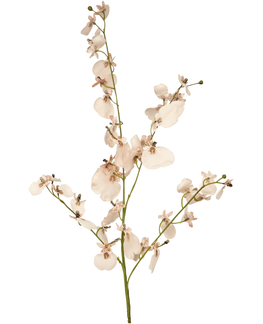 Il ramo di orchidea artificiale rosa da 80 cm ha un unico stelo di orchidea artificiale rosa chiaro con fiori multipli e piccoli boccioli su sottili rami verdi, su un semplice sfondo bianco.