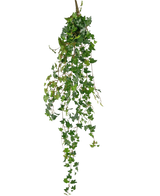 La pianta pensile artificiale Ivy deluxe 120 cm verde ha lunghi viticci verdi con foglie a forma di cuore, perfetti per aggiungere un tocco di bellezza naturale su un semplice sfondo bianco.