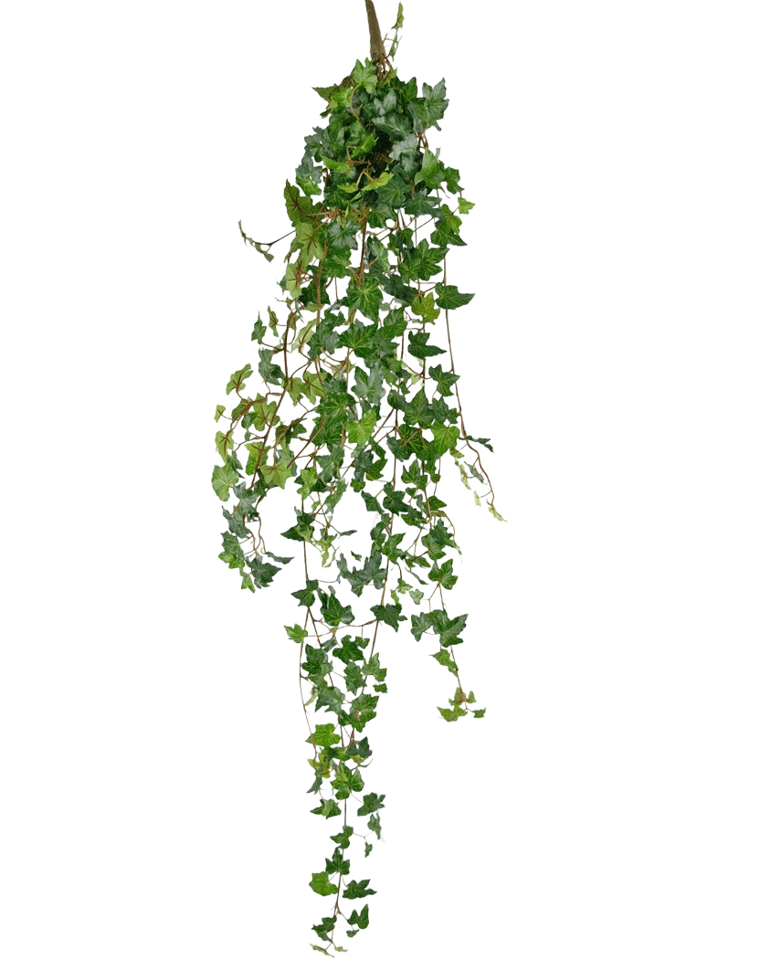 La pianta pensile artificiale Ivy deluxe 120 cm verde ha lunghi viticci verdi con foglie a forma di cuore, perfetti per aggiungere un tocco di bellezza naturale su un semplice sfondo bianco.