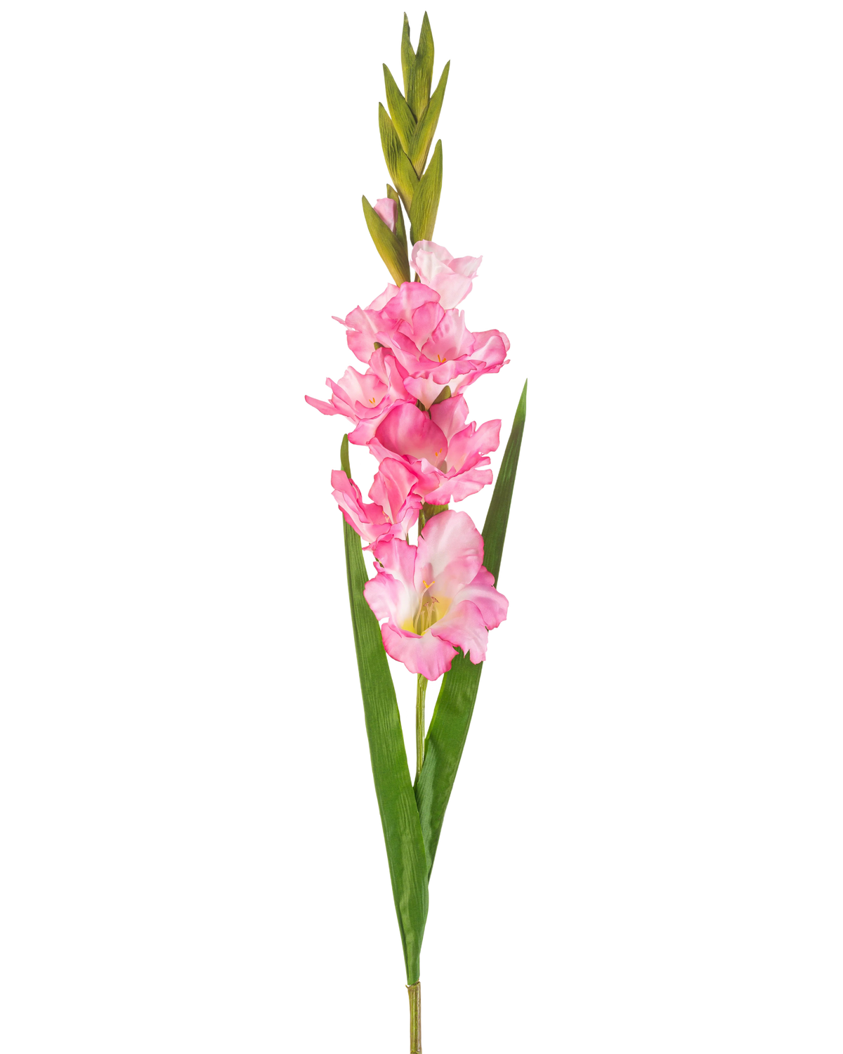 Un singolo fiore artificiale di gladiolo di 93 cm di colore rosa brillante con molteplici fiori e boccioli rosa brillante, abbinati a lunghe foglie verdi, su uno sfondo bianco.