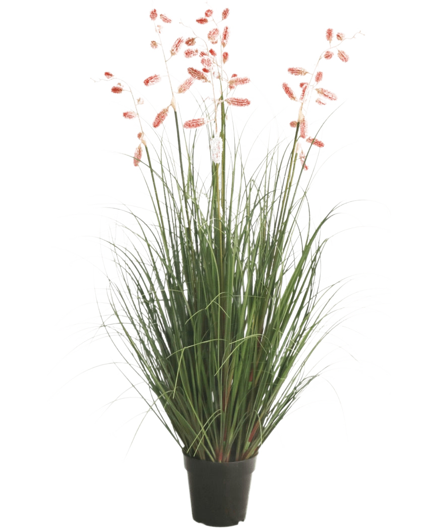 La pianta di erba artificiale millepiedi ignifuga da 120 cm ha lunghi fili verdi e steli lunghi e sottili con pennacchi rosa, presentati su uno sfondo bianco.