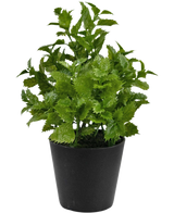 Pianta artificiale Perilla 25 cm: una pianta dal fogliame verde vivace con bordi seghettati in un semplice vaso nero, perfetta per aggiungere un tocco di natura a qualsiasi stanza.