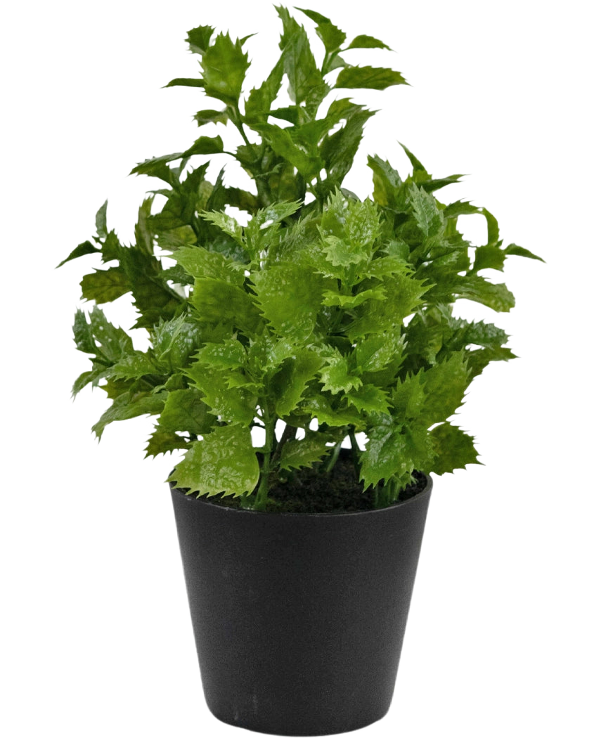 Pianta artificiale Perilla 25 cm: una pianta dal fogliame verde vivace con bordi seghettati in un semplice vaso nero, perfetta per aggiungere un tocco di natura a qualsiasi stanza.