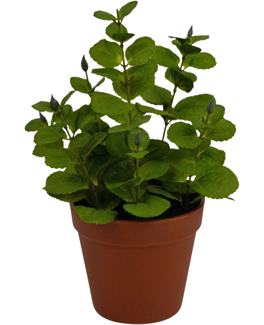 La pianta artificiale Menta 30 cm è una piccola pianta artificiale con foglie verdi rotonde in un vaso di plastica marrone, su uno sfondo bianco a tinta unita.