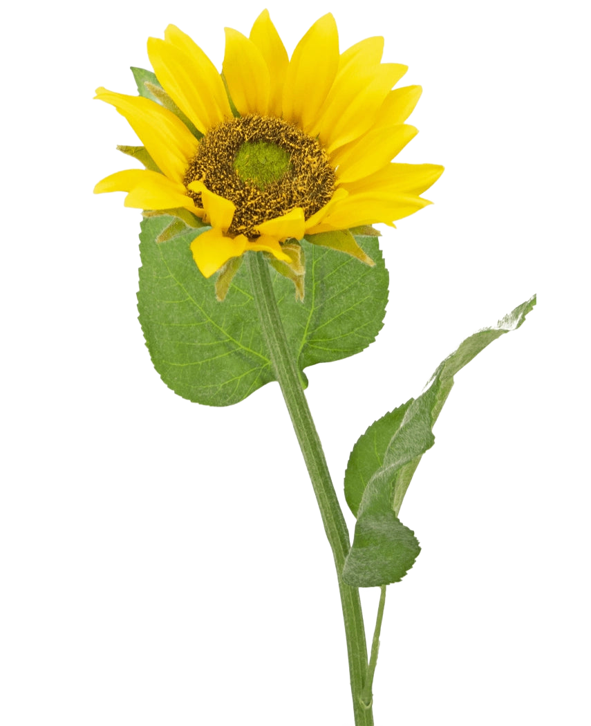 Il girasole artificiale Deluxe da 52 cm è un girasole artificiale con petali gialli brillanti, un cuore marrone scuro e foglie verdi su un lungo stelo, fotografato su un semplice sfondo bianco.