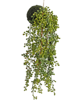 La pianta succulenta artificiale pensile su bulbo da 40 cm ha foglie verdi simili a perline e una base ricoperta di muschio, sospesa su un filo su uno sfondo bianco.