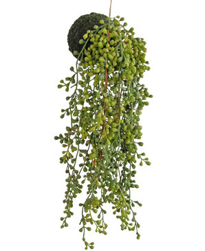 La pianta succulenta artificiale pensile su bulbo da 40 cm ha foglie verdi simili a perline e una base ricoperta di muschio, sospesa su un filo su uno sfondo bianco.
