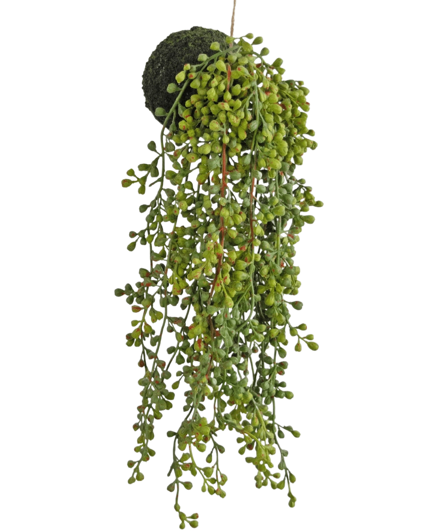 La pianta succulenta artificiale pensile su bulbo da 40 cm ha foglie verdi simili a perline e una base ricoperta di muschio, sospesa su un filo su uno sfondo bianco.