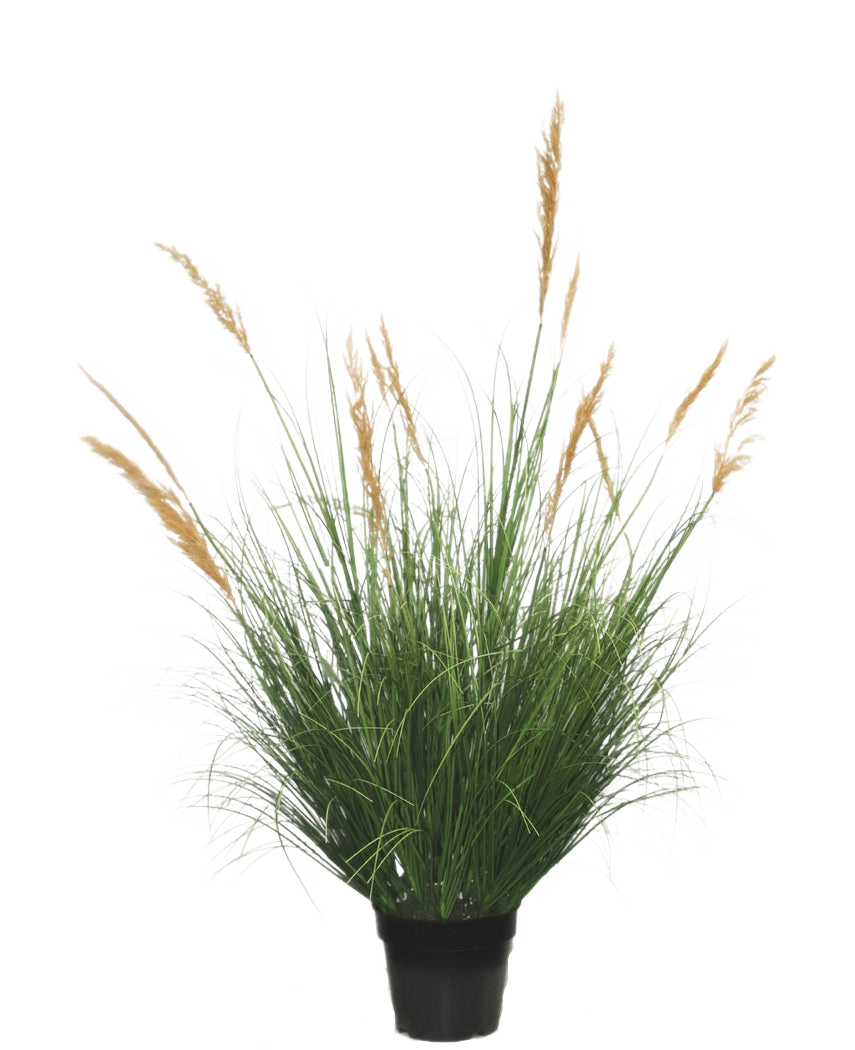 Una pianta di erba artificiale di struzzo ritardante da 120 cm, con lunghe foglie verdi e alte piume dorate, su uno sfondo bianco semplice.