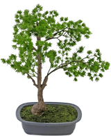 La pianta artificiale bonsai ginepro 40 cm ha un tronco sottile e foglie verdi lussureggianti e si trova in un vaso grigio rettangolare poco profondo con muschio. Lo sfondo è bianco semplice.