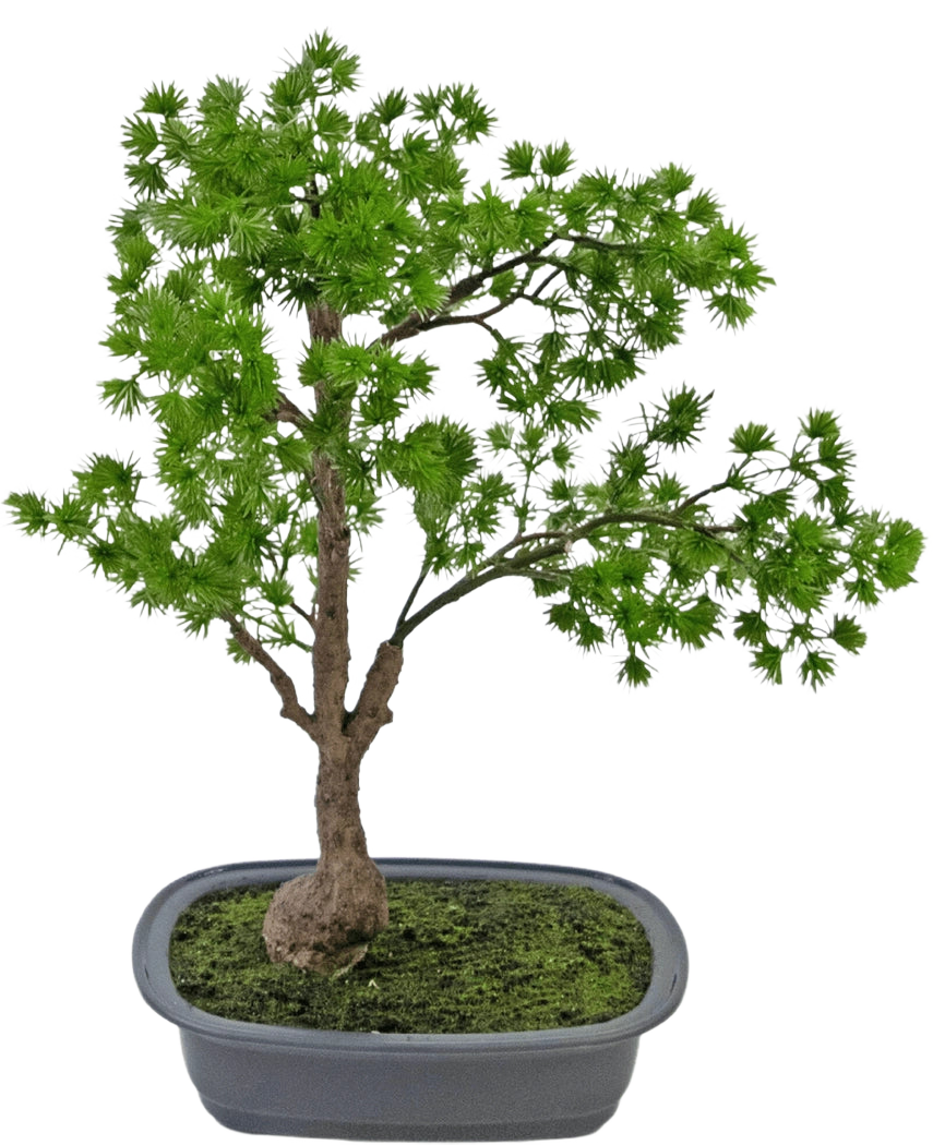 La pianta artificiale bonsai ginepro 40 cm ha un tronco sottile e foglie verdi lussureggianti e si trova in un vaso grigio rettangolare poco profondo con muschio. Lo sfondo è bianco semplice.