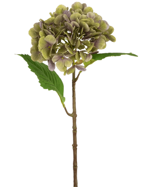 L'ortensia artificiale Deluxe 55 cm verde/viola ha un unico stelo di ortensia artificiale con petali verdi e viola e due foglie verdi su uno sfondo bianco semplice.