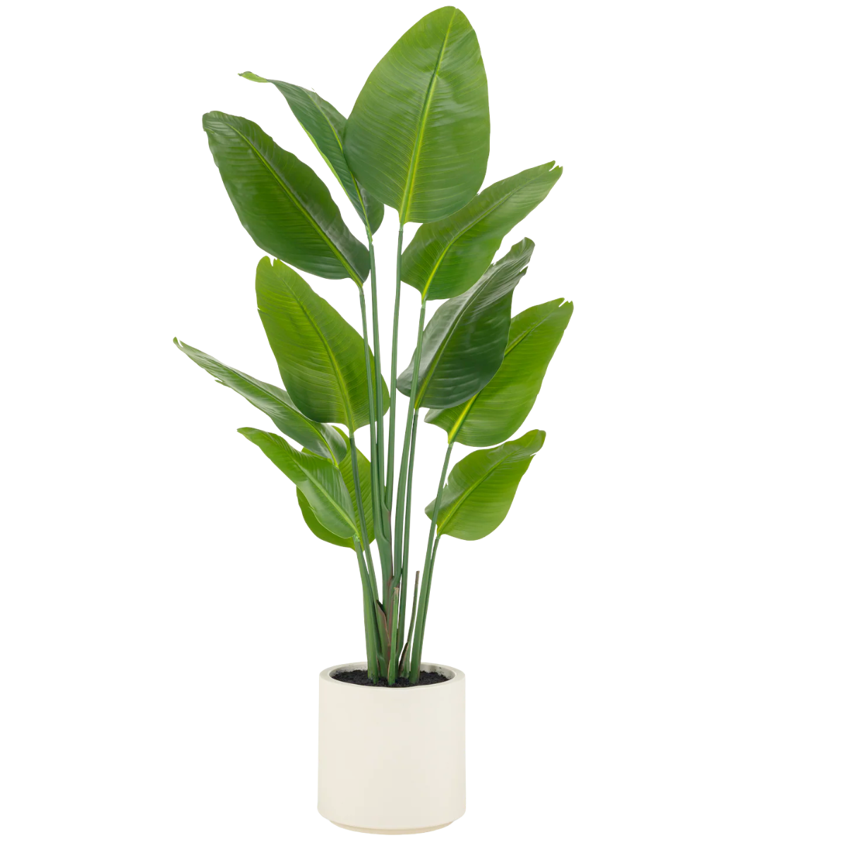 Pronto in vaso ornamentale
