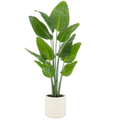 Pronto in vaso ornamentale