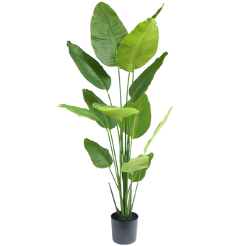 Piante artificiali