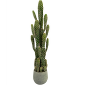 Cactus artificiale