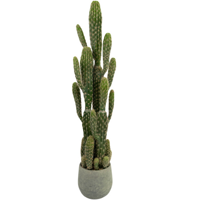 Cactus artificiale