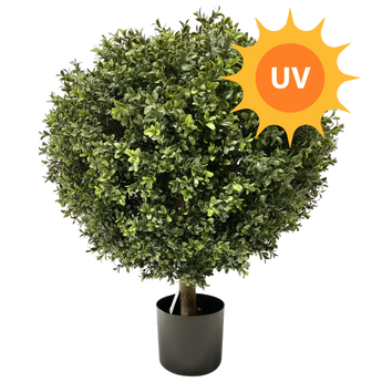 Pianta artificiale Buxus UV