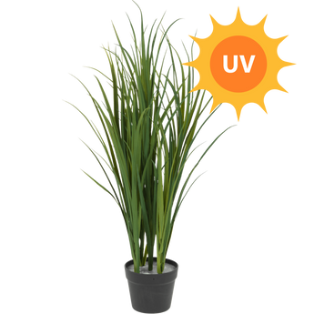 Impianto di erba artificiale UV