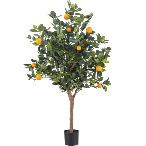 Frutta finta