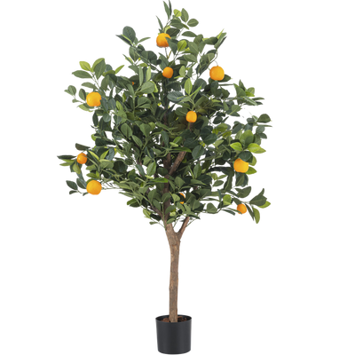 Frutta finta