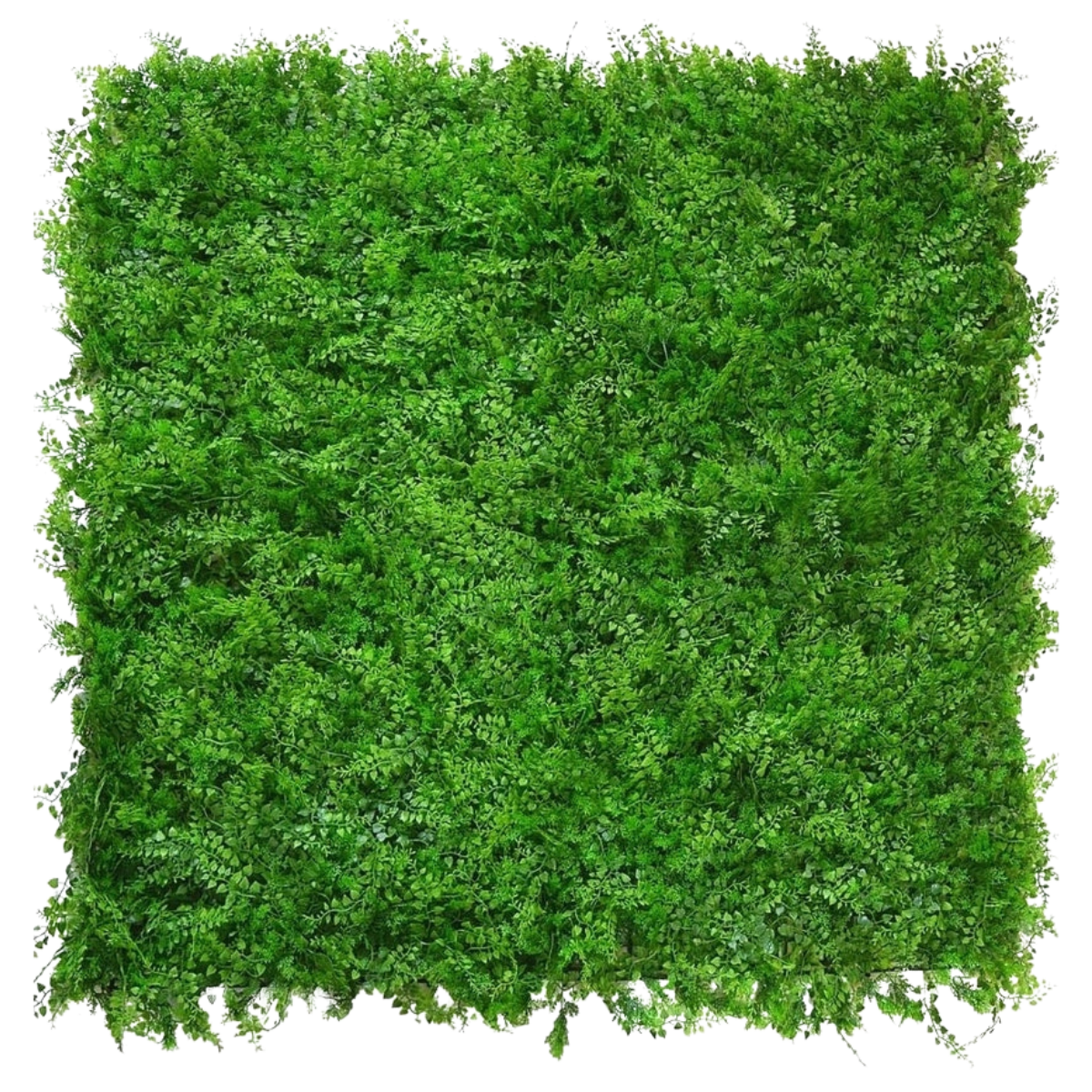 Siepe artificiale Fern