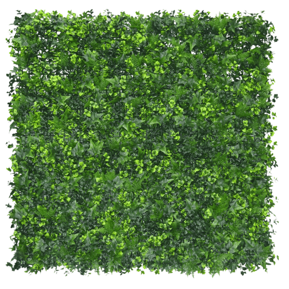 Siepe artificiale di edera