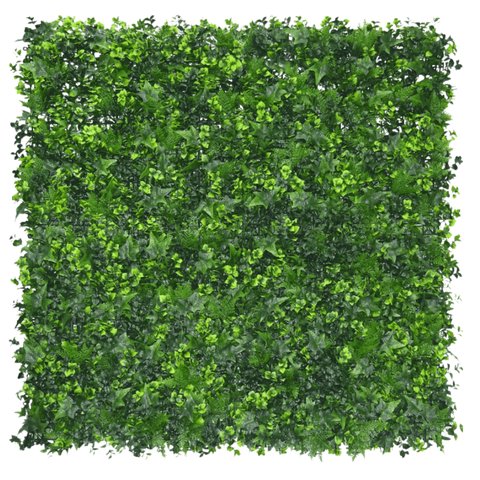 Siepe artificiale di edera