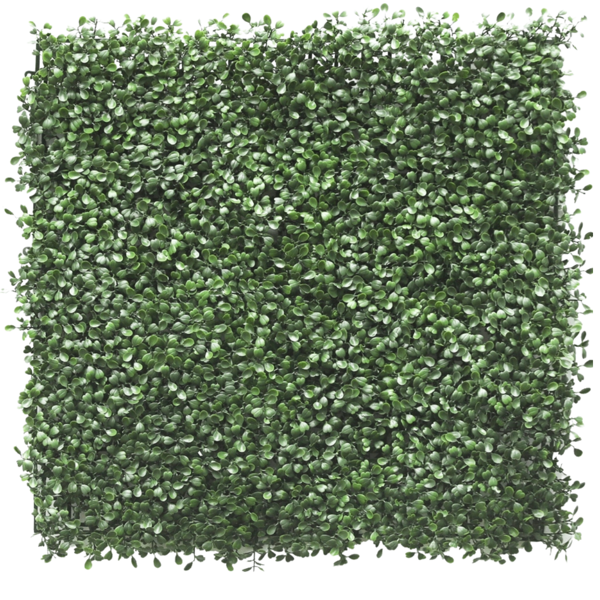 Siepe artificiale Buxus