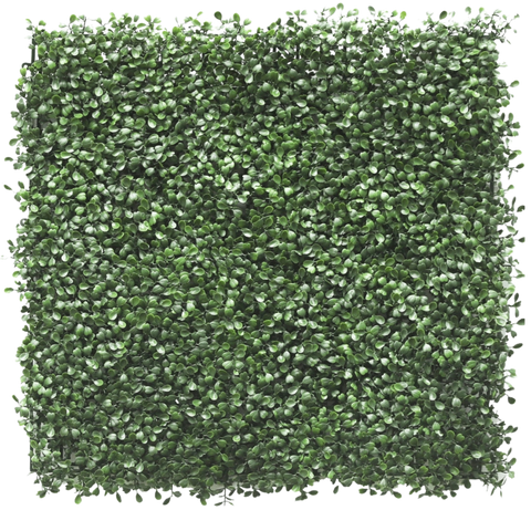 Siepe artificiale Buxus