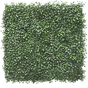 Siepe artificiale Buxus