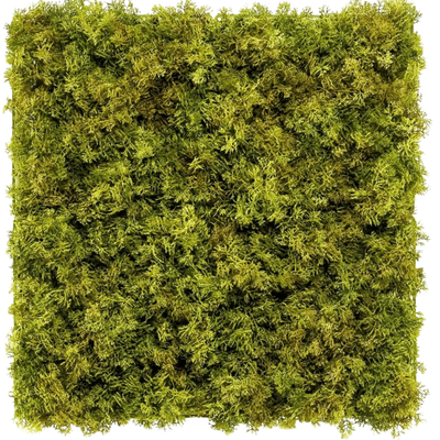 Siepe artificiale Muschio