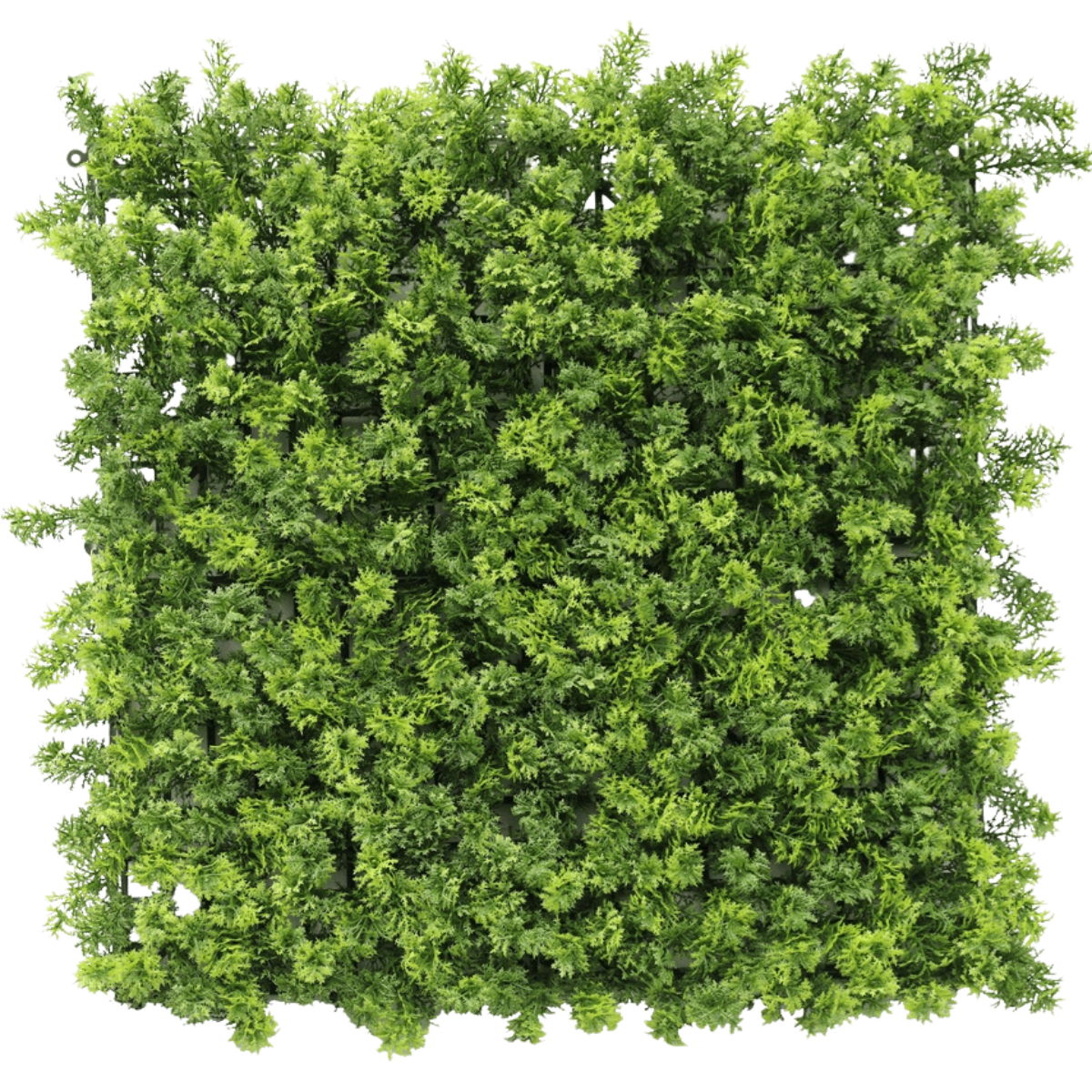 Siepe artificiale 50x50