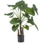Alocasia Artificiale