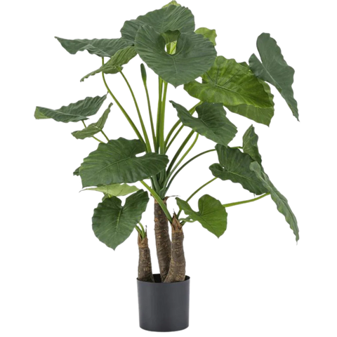 Alocasia Artificiale